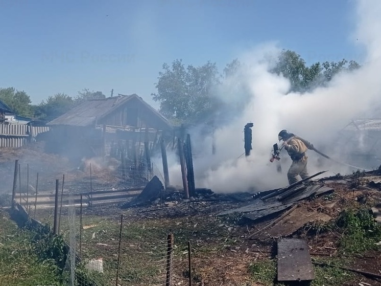 В орловском селе Архангельское огнем уничтожена хозпостройка