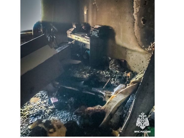 В Смоленске на пожаре погиб мужчина