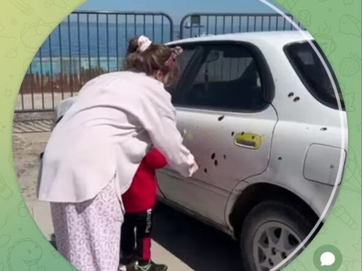 Машину в леомобиль превратили на «Дне леопарда»‎ во Владивостоке