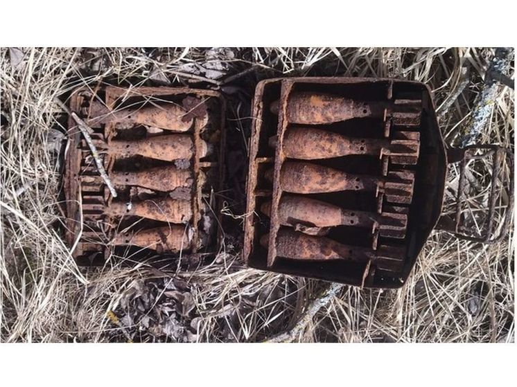 В Духовщинском районе обезвредили целый склад боеприпасов времен войны