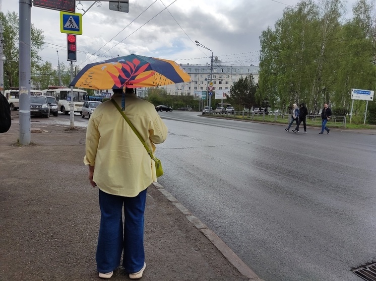 С дождя и снега начнется лето в Томске