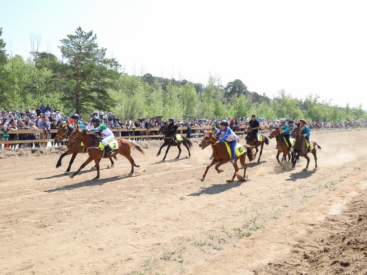Стали известны победители всех заездов чемпионата Бурятии по конным скачкам