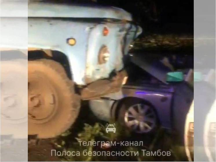 В Тамбовской области в ДТП с грузовиком погибла 18-летняя девушка