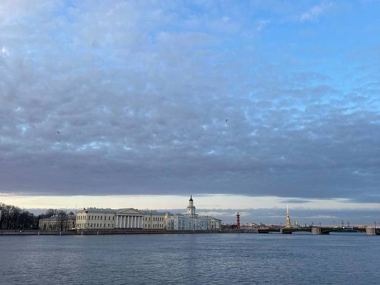 В Петербурге торжественно стартовал трудовой сезон студенческих отрядов