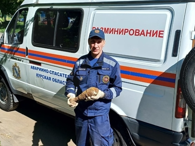 В Курске на улице Союзной обезвредили 3 минометные мины времен ВОВ