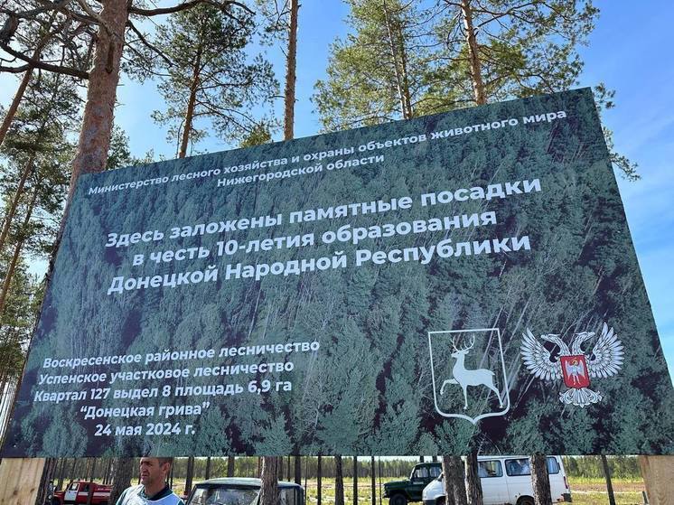 Сосновый бор появился в Нижегородской области в честь десятилетия образования ДНР