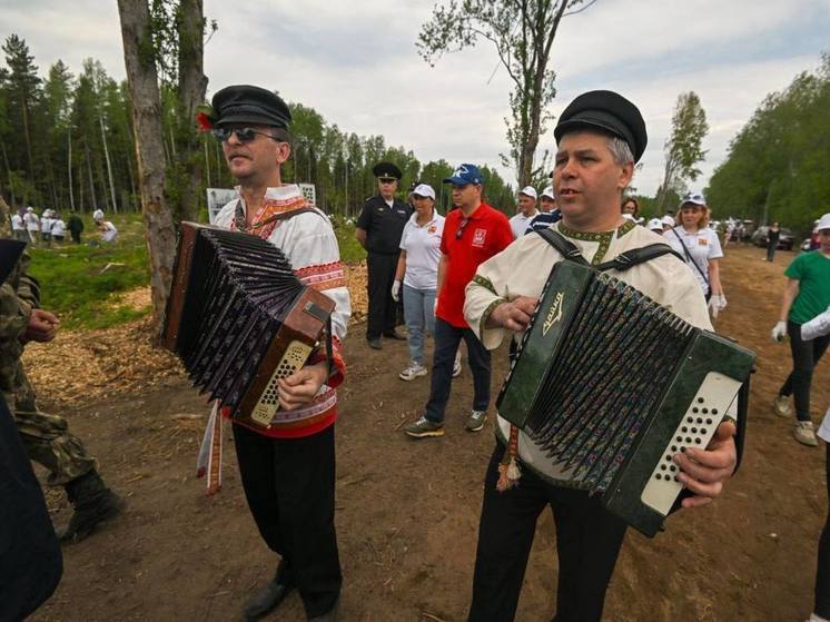 У поселка Шум ленинградцы высадили пять гектаров нового леса