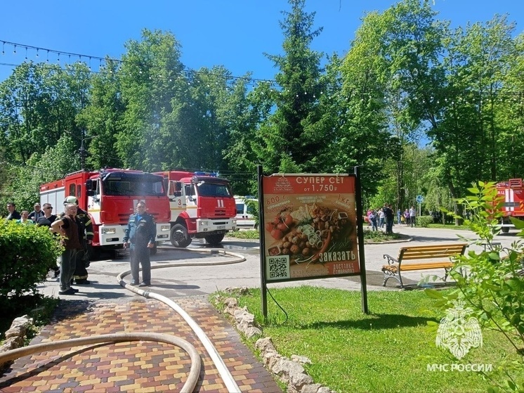 Кафе "Три толстяка" в Комсомольском парке Тулы тушили 20 огнеборцев