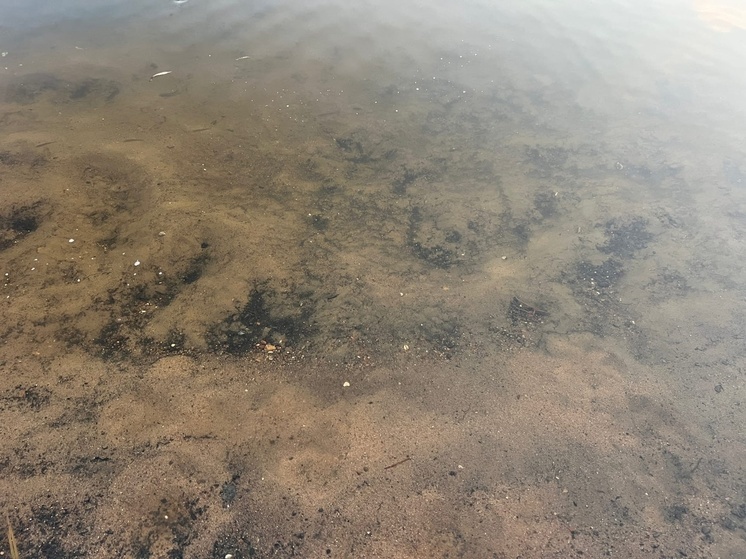 В Тверской области на реке Дойбица погиб водитель гидроцикла