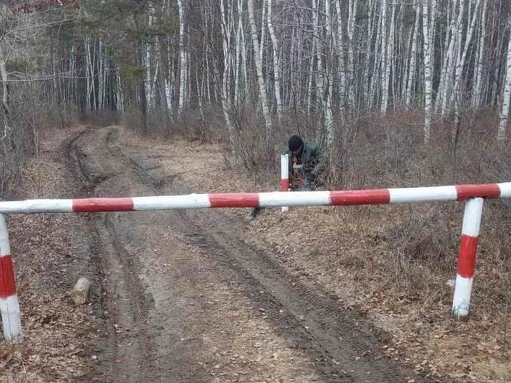В Бурятии введен тотальный запрет на посещение леса