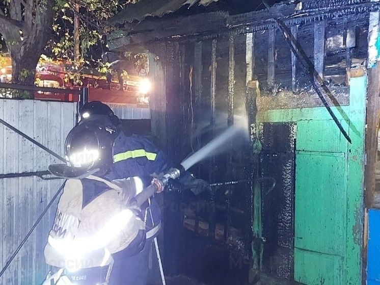 Частный жилой дом спасли от огня в Амурской области