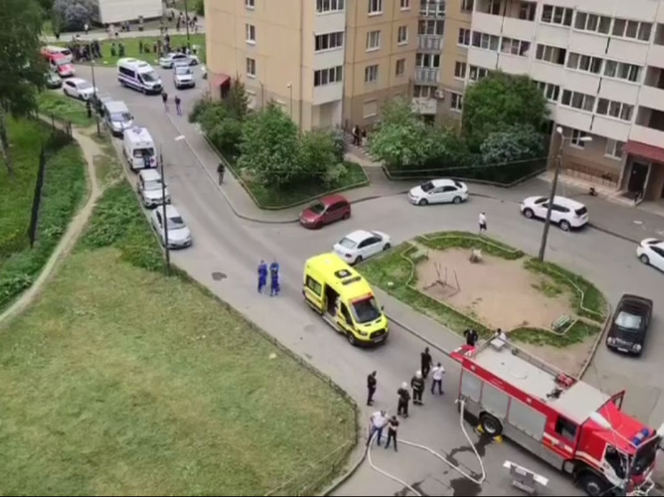 Рецидивист открыл стрельбу в квартире многоквартирного дома по ул. Народная, 5/2 в Невском районе днем 25 мая.