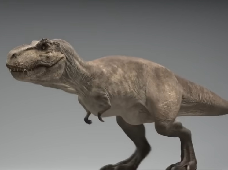 Тираннозавр рекс был теплокровным существом
