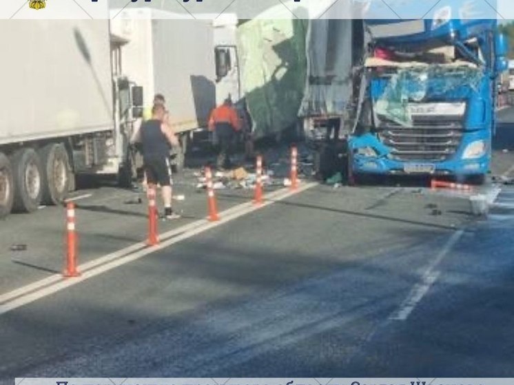 В Крестецком районе на М-10 столкнулись четыре фуры