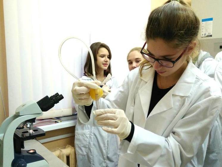 Молодые ученые Мурманской области получат гранты по 400 тысяч рублей