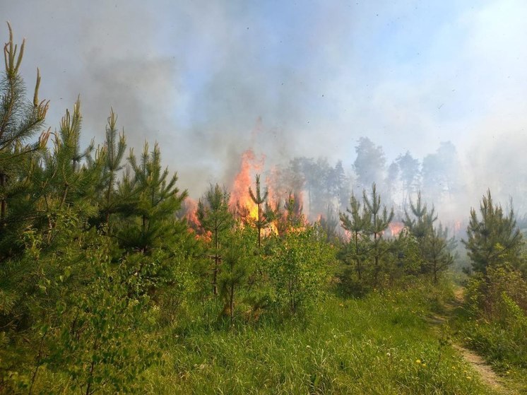 В регионе объявлен «желтый» уровень погодной опасности