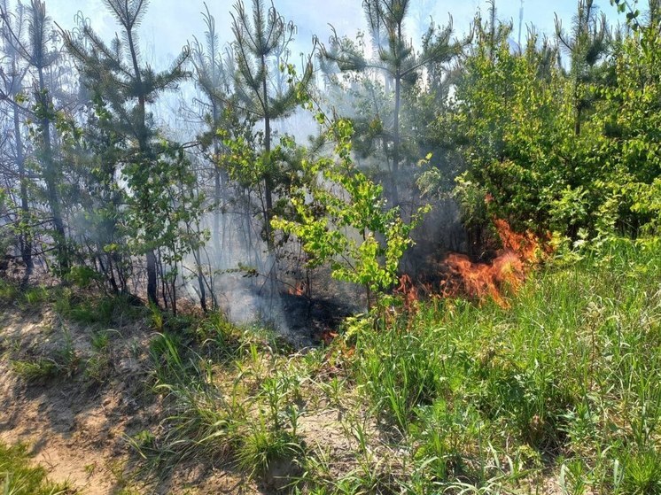 Гидрометцентр продлил «желтый» уровень погодной опасности