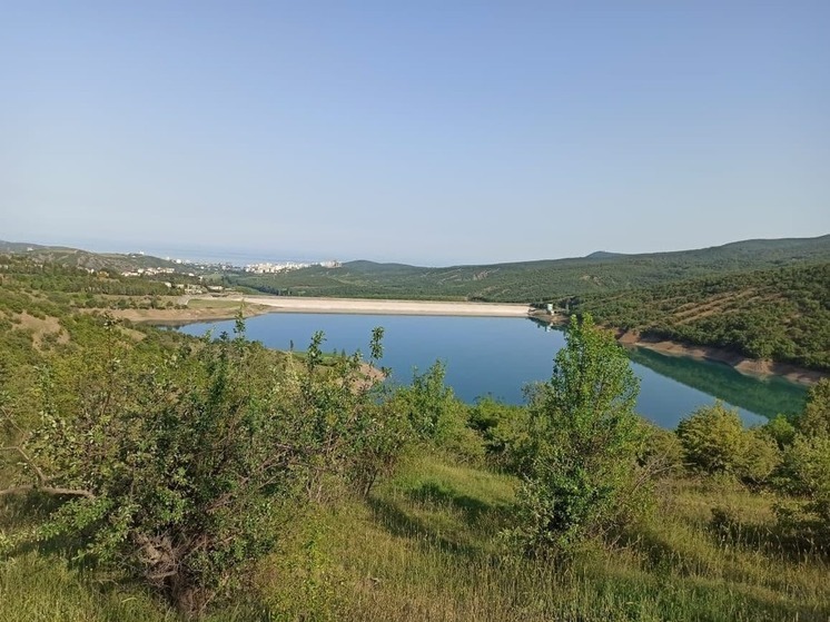 В водоемах Крыма нашли личинки малярийных комаров