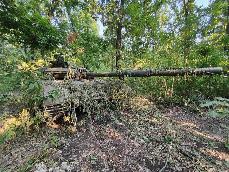 Spiegel: страны Балтии пригрозили отправить войска на Украину