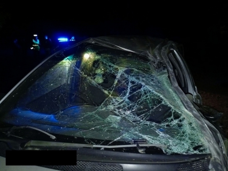 В Бурятии после смертельного ДТП в Хонхолое возбуждено уголовное дело