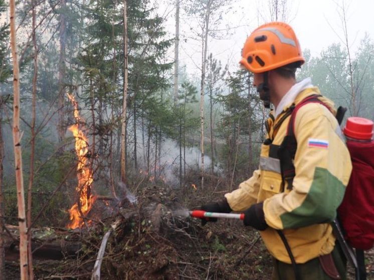 В Ярославской области повысился класс пожароопасности