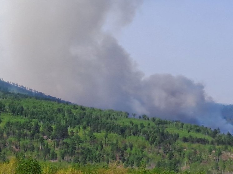 Число лесных пожаров в Забайкалье выросло за два дня