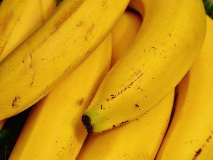 Россия стала больше покупать бананов в Китае и Индии, снизив экспорт из Эквадора