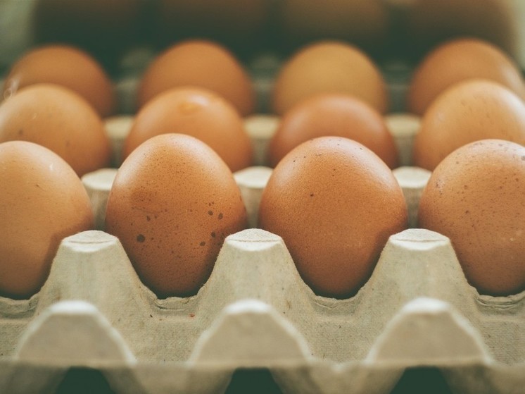 Владелец магазинов не ожидал, что за компенсацию екатеринбуржцы станут облизывать яйца