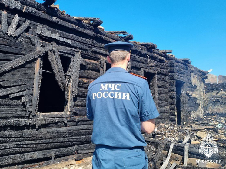 В тамбовском селе пожар унес жизнь 59-летнего мужчины