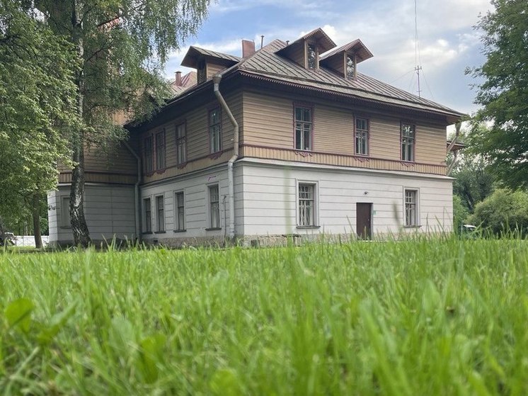 Пензенским дачникам рассказали, за какие растения им грозит штраф