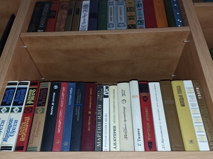 Более трехсот библиотек работают на территории ДНР