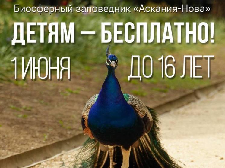 Заповедник «Аскания-Нова» на один день сделает вход для детей бесплатным