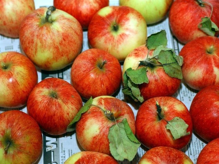 Минсельхоз России изучит возможность поставок яблок из других стран