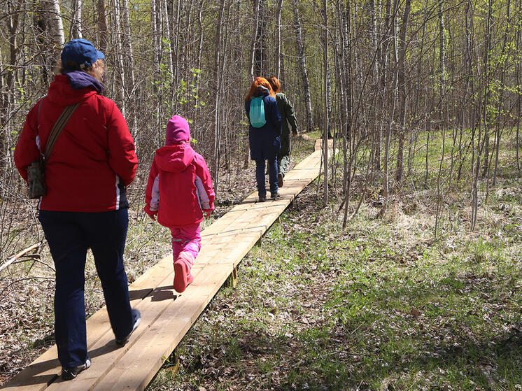 Это должно помочь сделать путешествия по стране более популярными