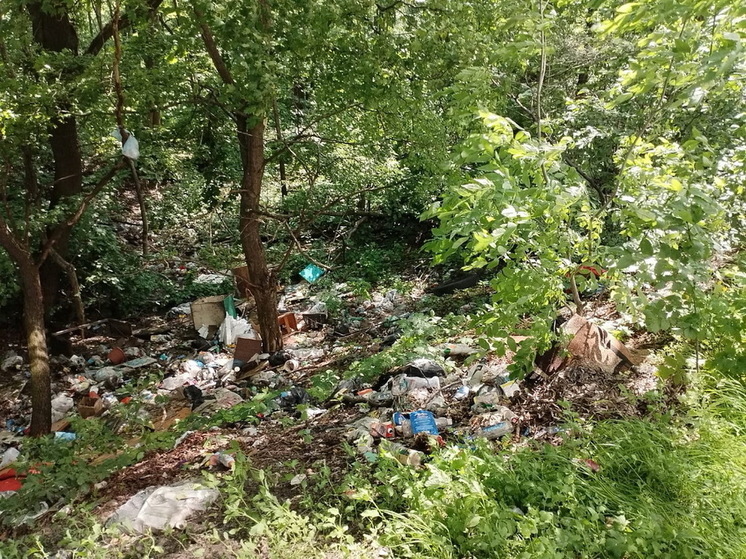 В Курской области ликвидировали 4 несанкционированные свалки