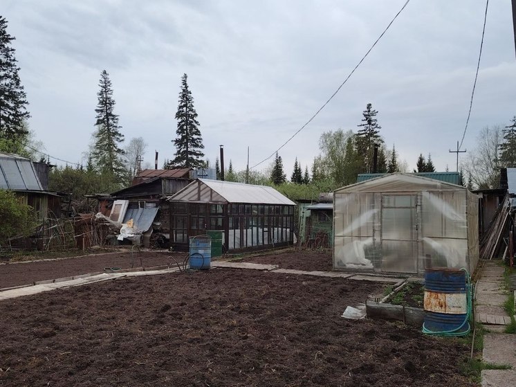 Как спасти грядки от заморозков дачникам Новосибирска рассказала агроном Шубина