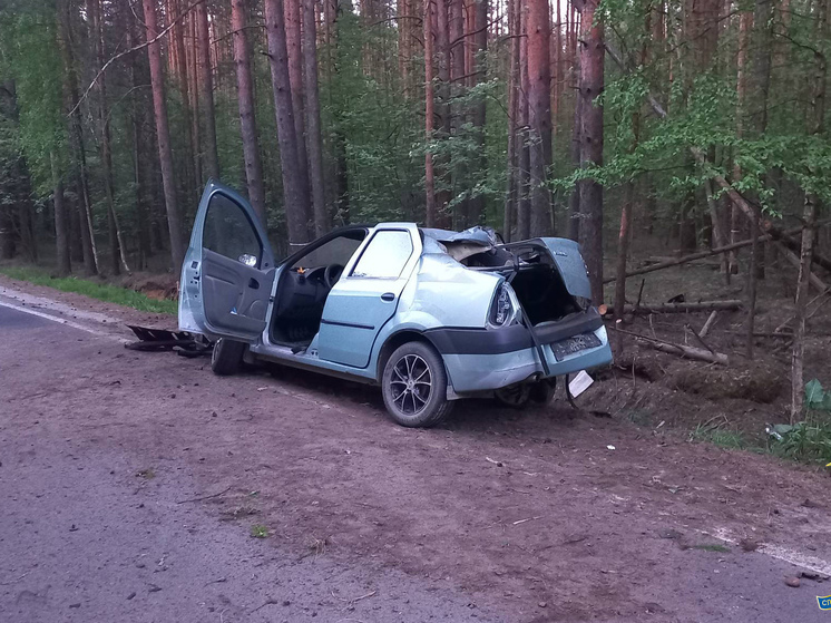 Еще одна авария со смертельным исходом случилась в Ярославской области