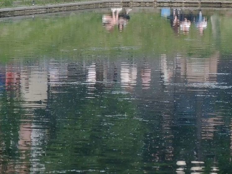 В подмосковном пруду утонул 12-летний подросток