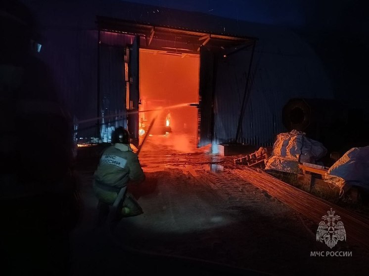 В Новгородской области за сутки произошло 11 пожаров