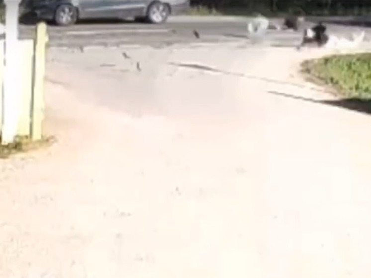 Появилось видео серьезной аварии с участием мотоциклиста в Тверской области