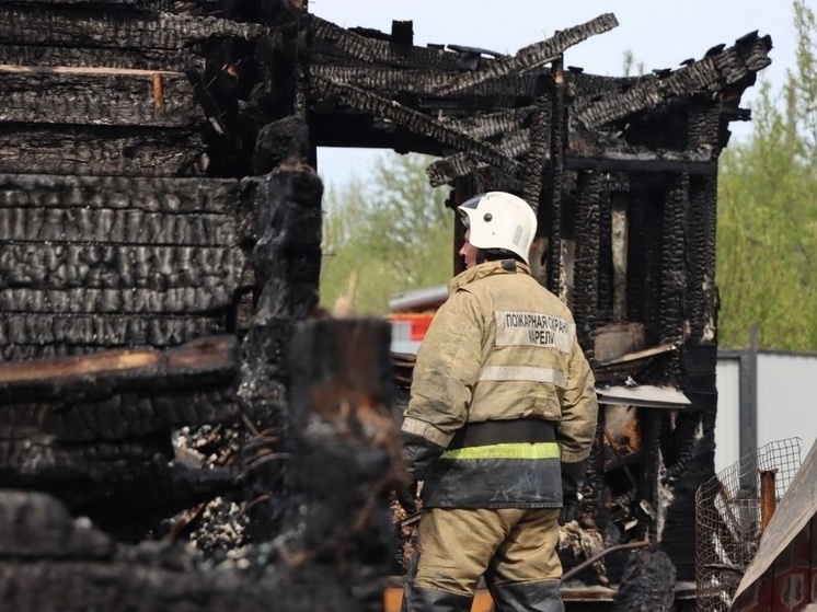 Более 40 объектов сгорело в селе Гридино на севере Карелии