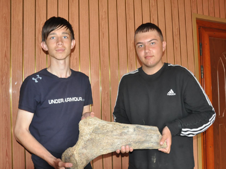 В Алтайском крае школьники нашли останки доисторического животного