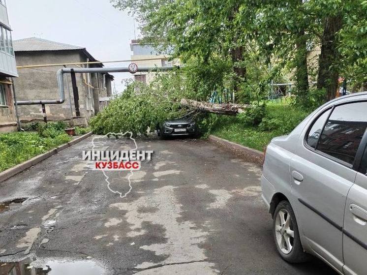 Штормовой ветер повалил тополь на машину в кемеровском дворе