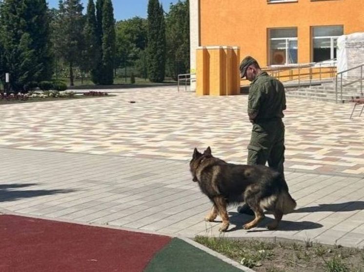 Пограничники рассказали о своей профессии юным белгородцам