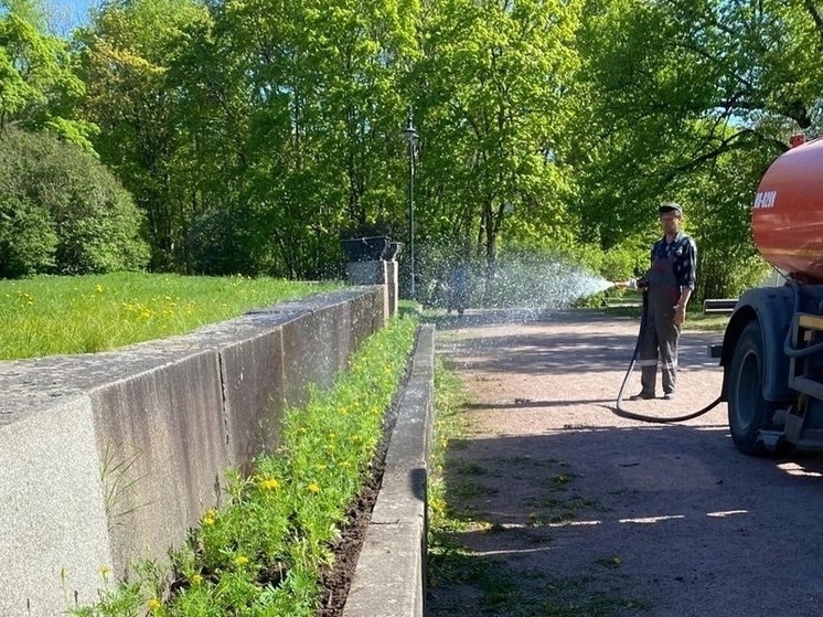 В Выборге готовятся к летнему сезону