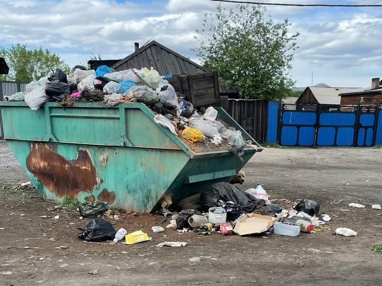 Власти Кызыла подсказали, как решать проблему с невывозом мусора