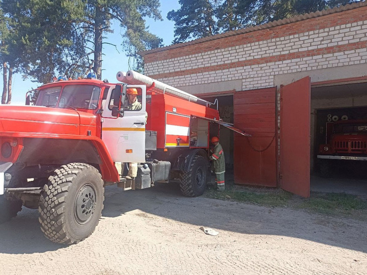 В Курской области смогли предотвратить серьёзный лесной пожар