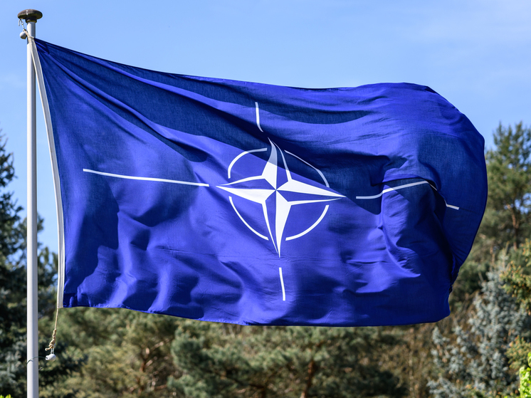 Политик Филиппо: НАТО пытается втянуть ЕС в третью мировую войну