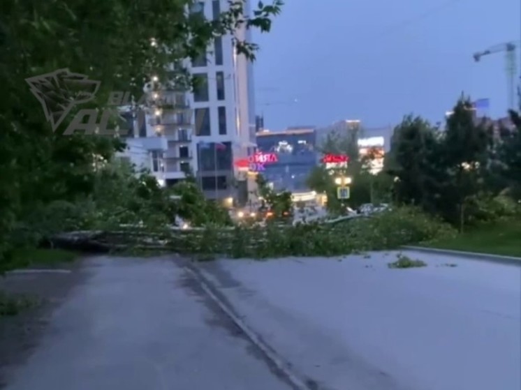 В Новосибирске устраняют последствия мощного ветра и дождя