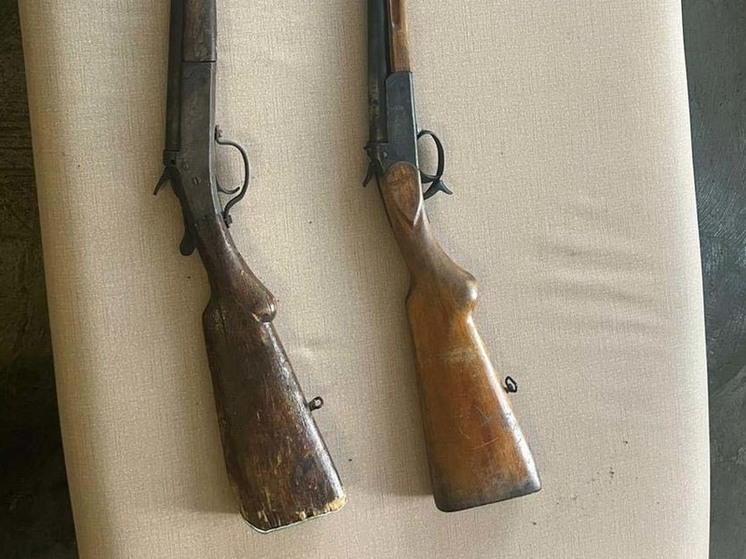 На Орловщине пенсионер в доме покойного отца нашёл два ружья